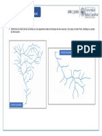 HOJA DE TRABAJO 4. PARAMETROS MORFOMETRICOS III