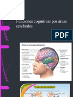 fUNCIONES CEREBRALES