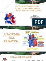 Anatomia Del Corazon 1