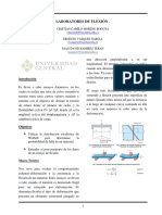 Lab Flexion PDF