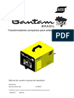0220673_bantam-brasil-250_pt_rev3.pdf