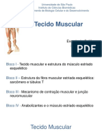 Aula 08 - Células Musculares - Enfoque Tecido Muscular Estriado Esquelético