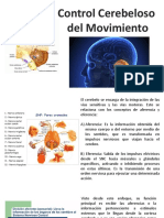 Control Cerebeloso del Movimiento