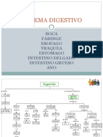 aparato-digestivo.ppt