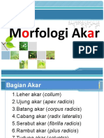 MORFOLOGI AKAR (Autosaved)