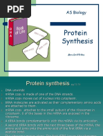 Protein Synthesis