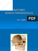 Anatomia de Los Senos ales