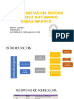 Antagonistas SNA Parasimpático (Subg 2)