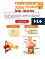 Sistema-Digestivo-para-Segundo-de-Primaria.pdf