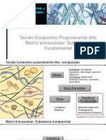 Tecido Conjuntivo Substancia Fundamental