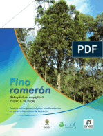 Pino Romeron