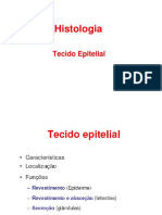 Aula 01 Introdução - Tecido Epitelial PDF