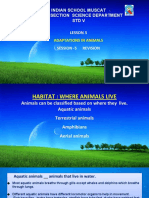 Adaptation in Animals-Ppt 2