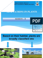 Adaptation in Plants PPT-3
