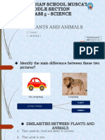 Palnt & Animal PPT-1