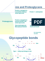 Glycoproteins Proteoglycans