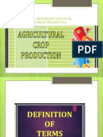 Presentation1 AGRI CROPS