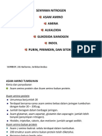 Senyawa Nitrogen-Asam Amino Tumbuhan