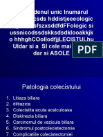 Patolofia Colecistului Ddunic Si Lobuldffdfdxvvgchdat