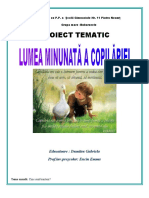 PROIECT-TEMATIC-EU-SI-LUMEA-MEA.pdf