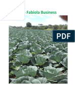 Cabbage Business Plan