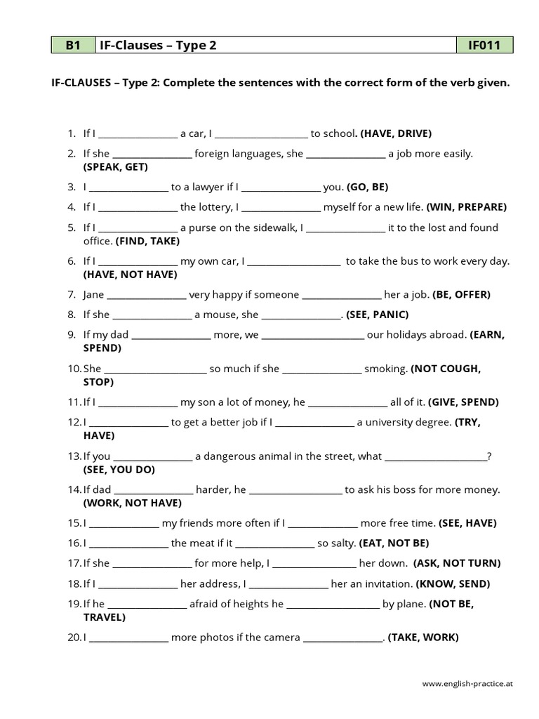 Type 2 Conditional Exercises | PDF