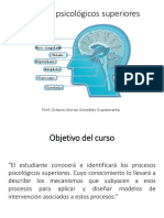 Procesos Psicologicos Superiores PDF