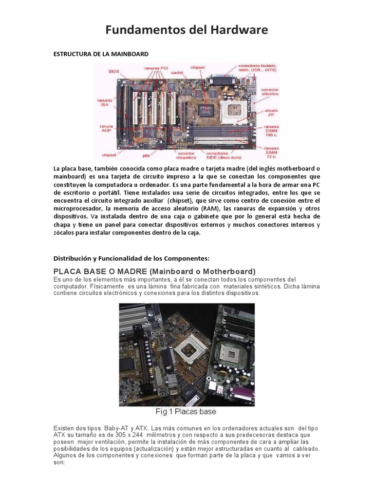 Estructura y Funciones del Hardware | PDF | Hardware de la computadora ...