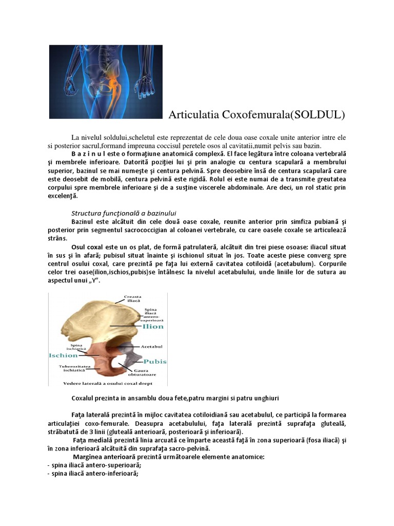 Soldul | PDF