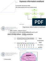 Curs 6 MG LR 2020 Sablon PDF