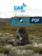 El Oso Andino