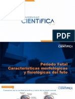 Periodo Fetal Características Morfológicas y Fisiológicas Del Feto