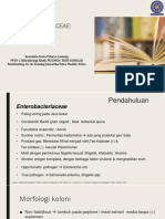 Sonia - Escherichia PDF