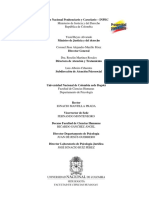 Tema 4. Programa de Intervencion - Paso A Paso RIV