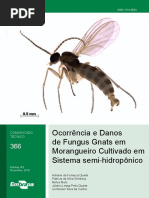 Fungus Gnatis - Importante