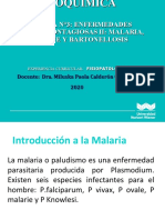 Sesion_3.2_Malaria (1)