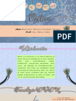 Óptica PDF