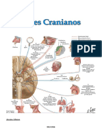 Pares Cranianos - Anaisa Afonso PDF