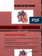 The Function of The Heart