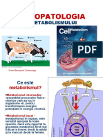 Fiziopatologia Metabolismelor La Animalele Domestice - 1590073596