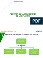 Presentación relación de las plantas 1.ppt