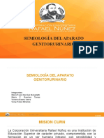 Semiologia Del Aparato Genitourinario