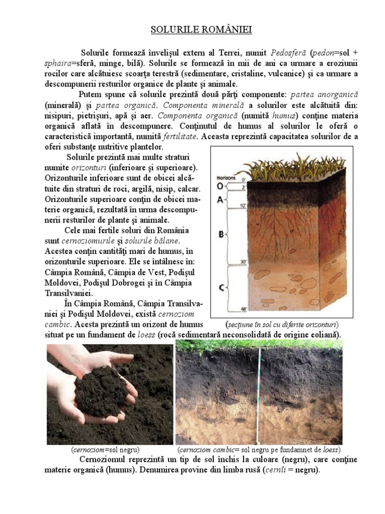 Solurile Romaniei | PDF