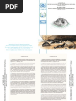 Download Phoque_moine by agnier SN46343187 doc pdf