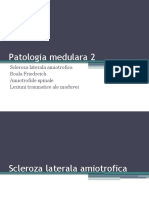 curs 3 patologia medulara 2