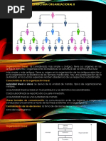 Estructura Organizacional 2 PDF