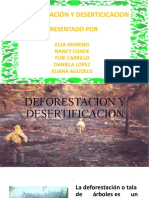 Deforestacion y Desertificacion