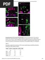 Pdf 636039131937899115 Pdf Astrophysics Astronomy