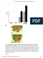 TSG-6 Regulates Bone Remodeling Through Inhibition of Osteoblastogenesis and Osteoclast Activation (Dragged) 15