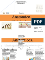 Cambios anatomicos y fisiologicos